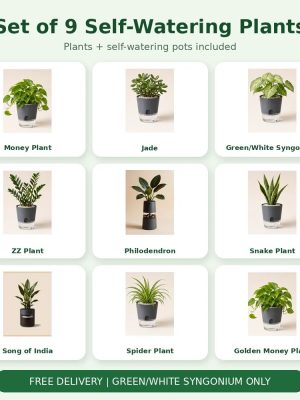 Set of 9 Self-Watering Plants – Complete Indoor Collection