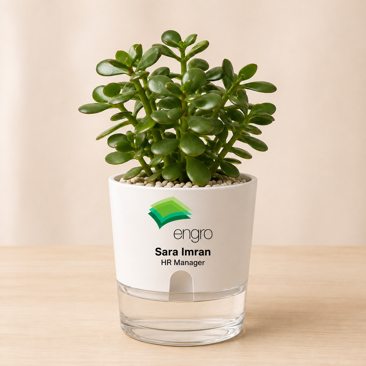 Engro logo personalized plant pot sample for Sara Imran HR Manager