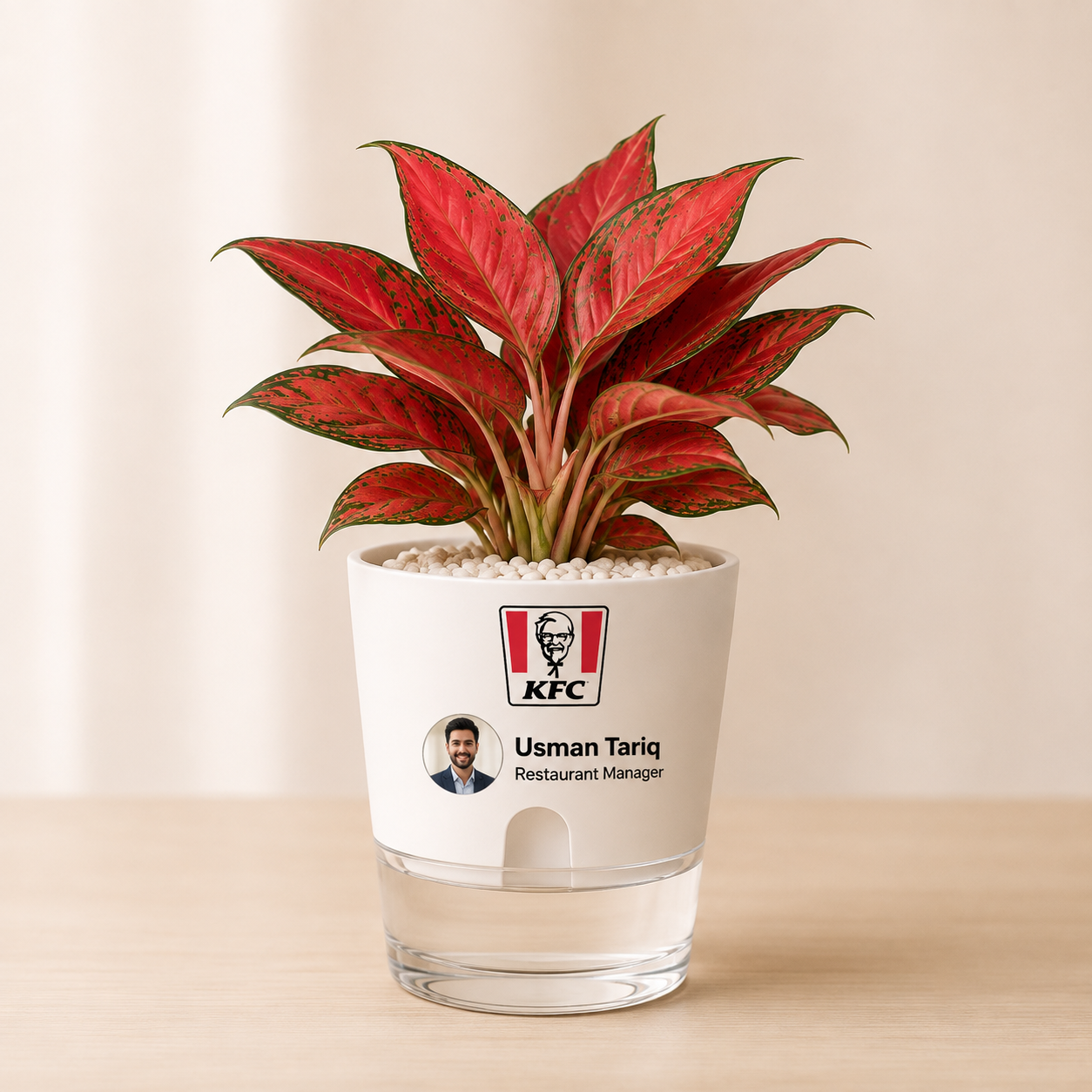 KFC logo personalized plant pot sample for Usman Tariq Restaurant Manager