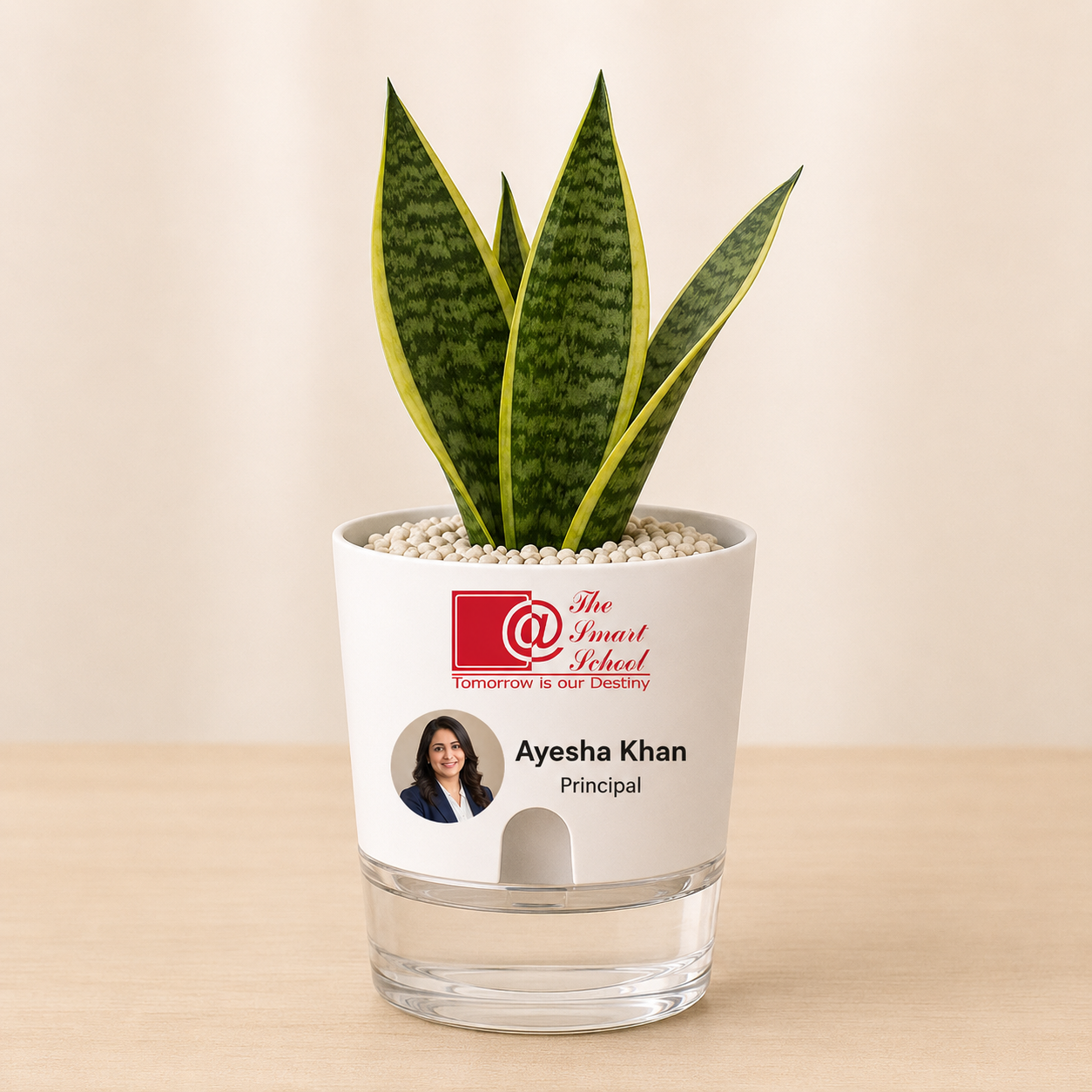 The Smart School personalized plant pot sample for Ayesha Khan Principal