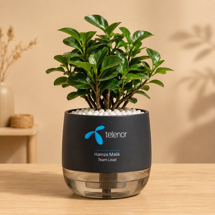 Telenor personalized plant pot sample for Hamza Malik Team Lead
