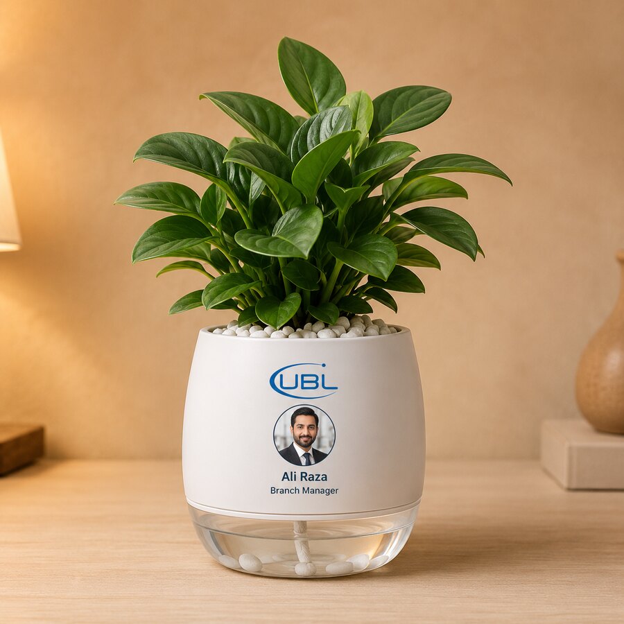 UBL personalized plant pot sample for Ali Raza Branch Manager